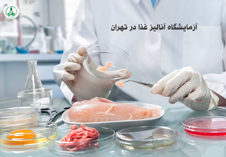 آزمایشگاه آنالیز غذا در تهران: بررسی کامل سلامت و کیفیت مواد غذایی