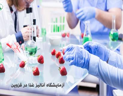 آنالیز غذا قزوین | 09129483137 (دقیق شیمی ازما)