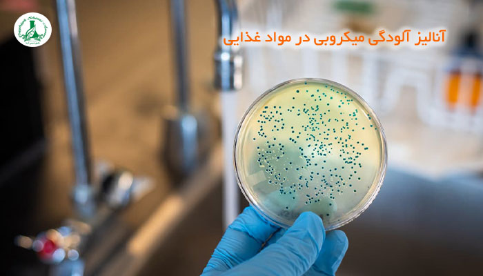 آنالیز آلودگی میکروبی در مواد غذایی | روش‌ها، استانداردها و آزمایش تخصصی