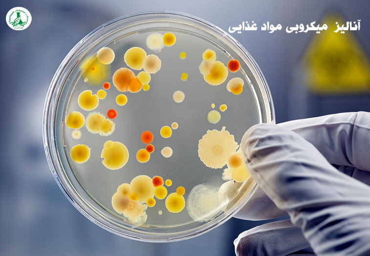 ۵ روش برتر آنالیز میکروبی مواد غذایی | دقیق شیمی آزما