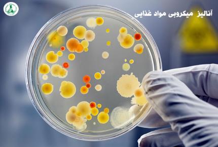 ۵ روش برتر آنالیز میکروبی مواد غذایی | دقیق شیمی آزما