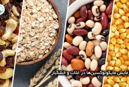 همه چیز درباره آزمایش مایکوتوکسین‌ها در غلات و خشکبار + جدول حدود مجاز 09129483137