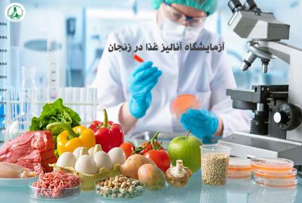آزمایشگاه غذا زنجان | کنترل کیفیت دقیق