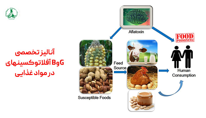 آنالیز تخصصی آفلاتوکسینهای BوG در مواد غذایی