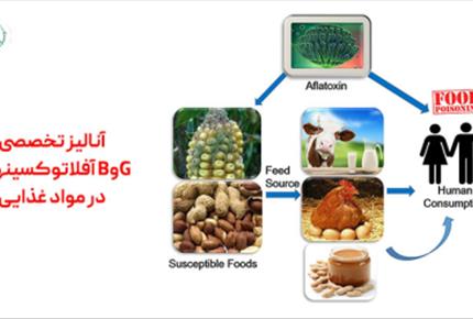 آنالیز تخصصی آفلاتوکسینهای BوG در مواد غذایی